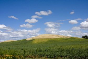 Hill